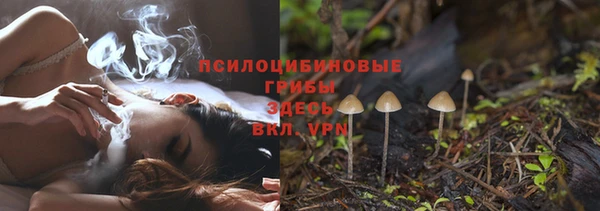 твердый Алексеевка