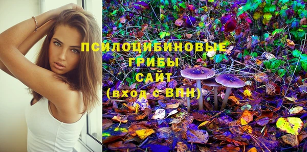 твердый Алексеевка
