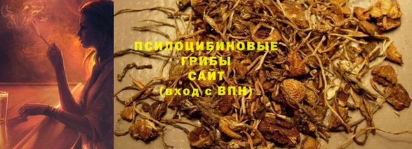 твердый Алексеевка