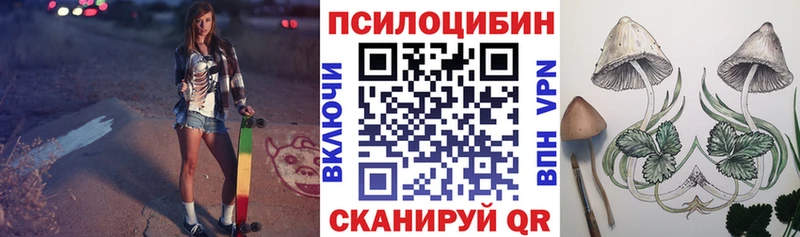 Псилоцибиновые грибы Cubensis  Петровск 