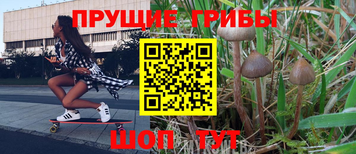 Петровск  Псилоцибиновые грибы Psilocybe  Вход с VPN  Псилоцибиновые грибы ЛСД 