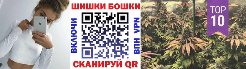где найти наркотики  Петровск  Марихуана сатива 